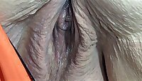 Public Nudity Porn